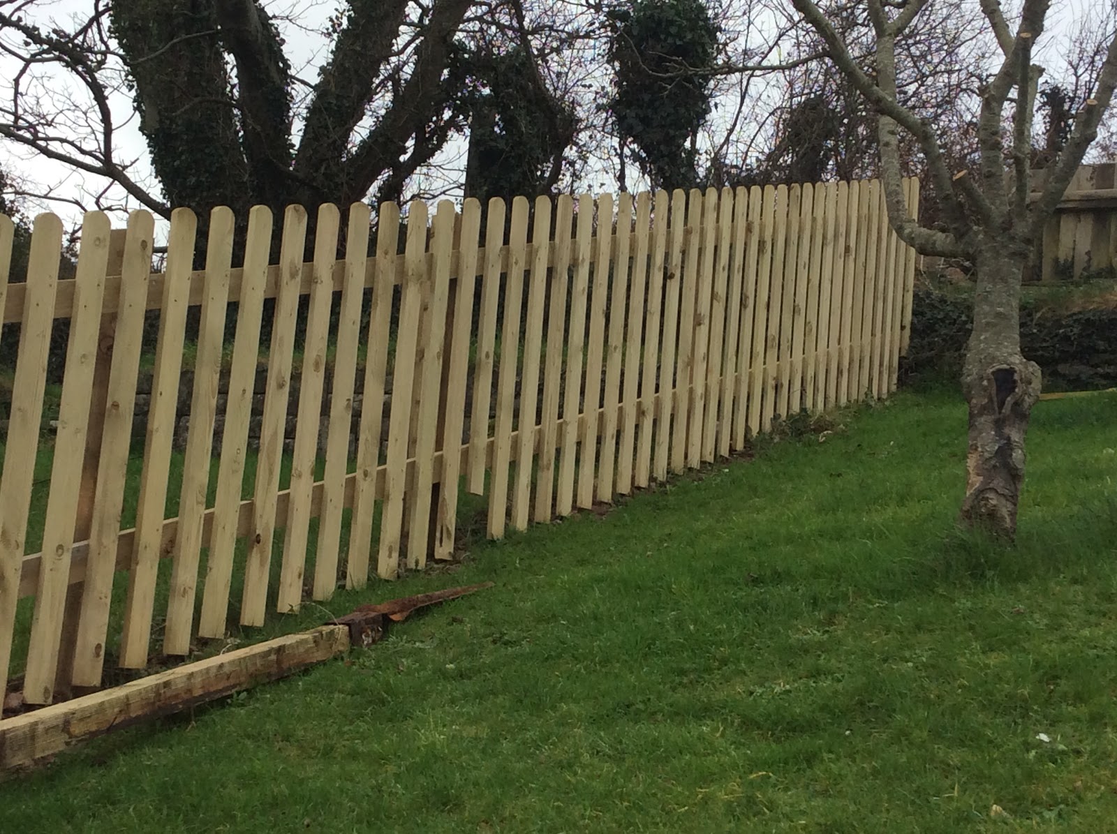 New round-top picket fencing running along a sloping garden boundary