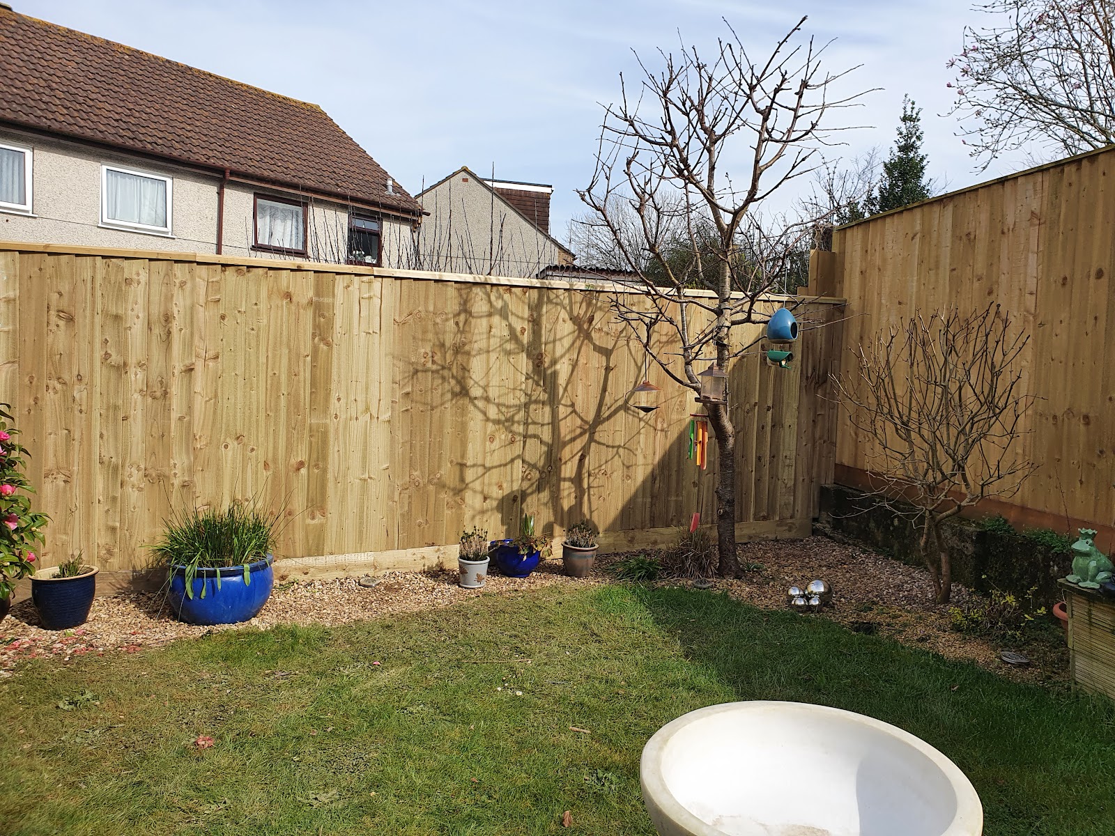 Close-board timber fencing with border planting in a rear garden